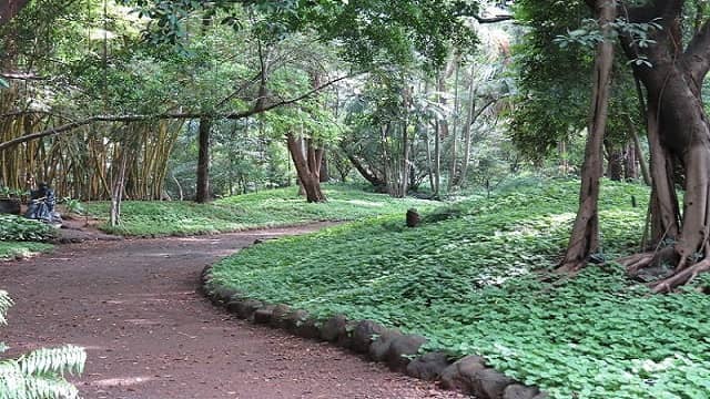 Osho International Park Pune