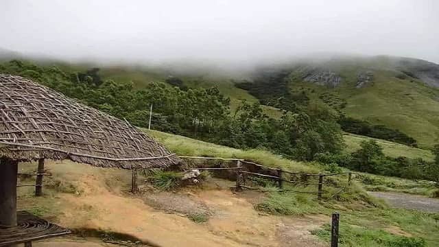 Eravikulum Nationl Park Munnar