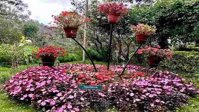 Rose Garden Munnar