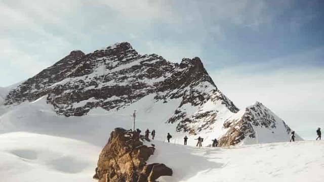 Tali Trekking Auli