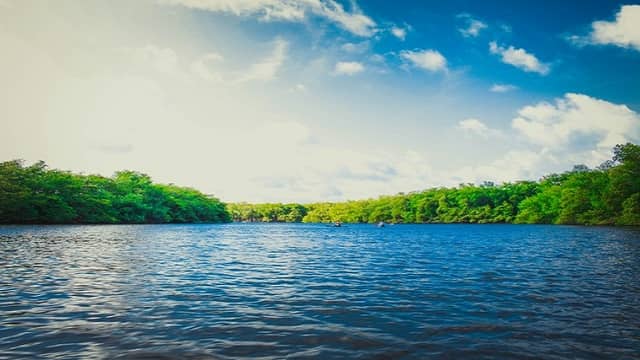 Berijam Lake Kodaikanal