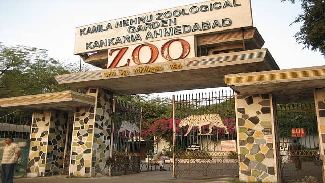 Kankaria Zoo, Ahmedabad