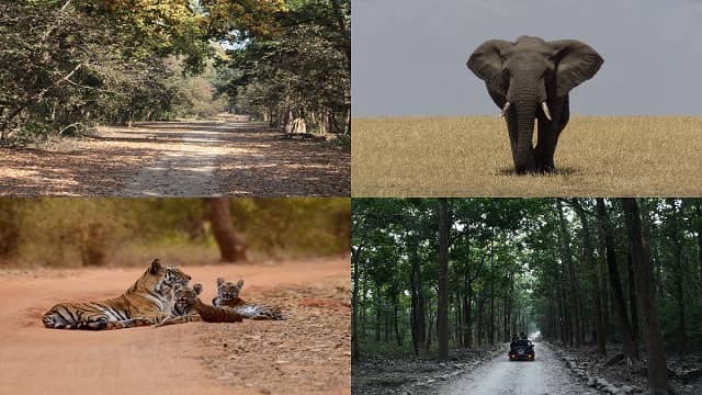 Rajaji National Park, Dehradun