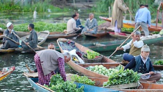 Floating Vegetable Market Srinagar Kashmir