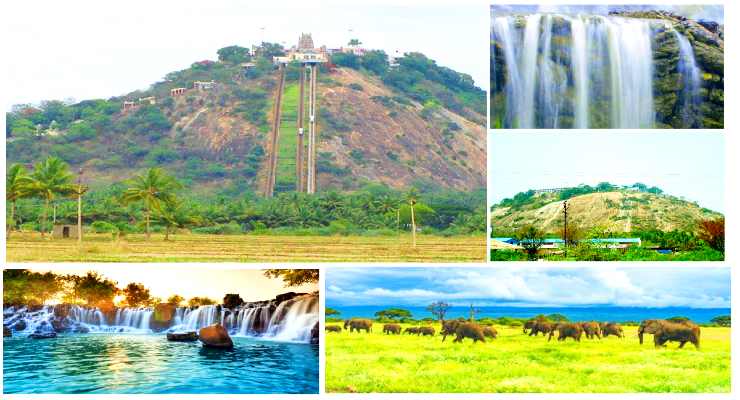 12 famous Palani tourist places