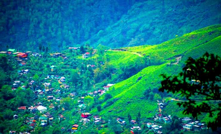 16-best-attraction-in-Darjeeling-tourist-places